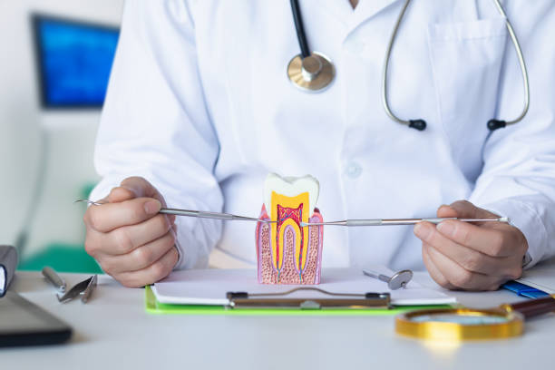 Best Emergency Wisdom Teeth Removal in Lone Grove, OK
